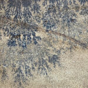 Fossil Mint Sandstone - Premium Natural Stone for Landscaping
