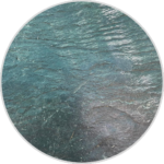 Limestone