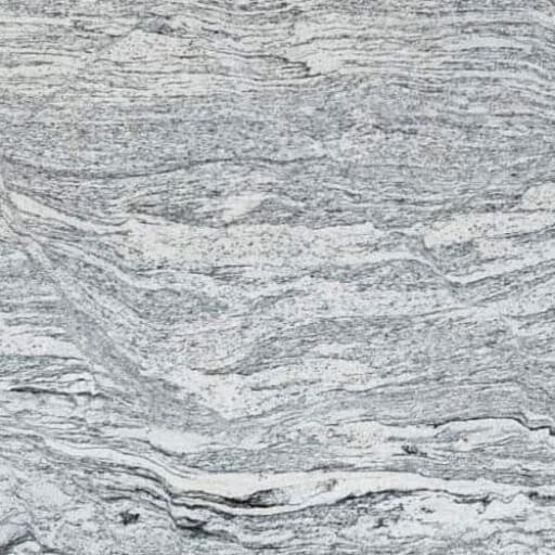 Viscon White Granite